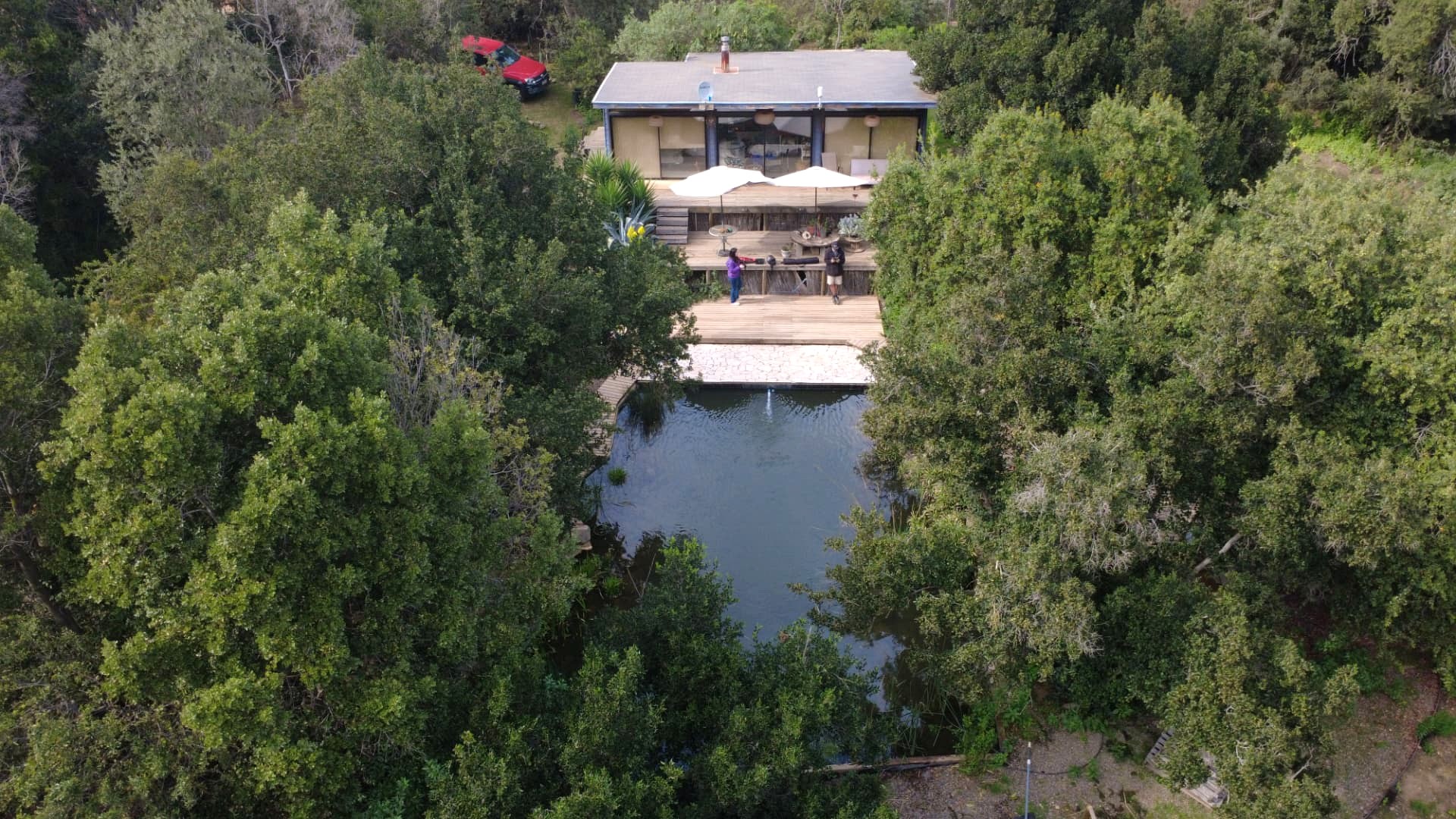 Vista aérea de Bosque San Pedro: la casa, la terraza y la biopiscina rodeadas de bosque nativo