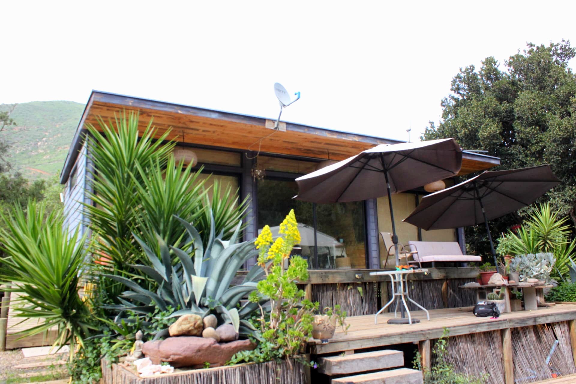 Fachada de la casa con deck de madera, sombrillas y plantas