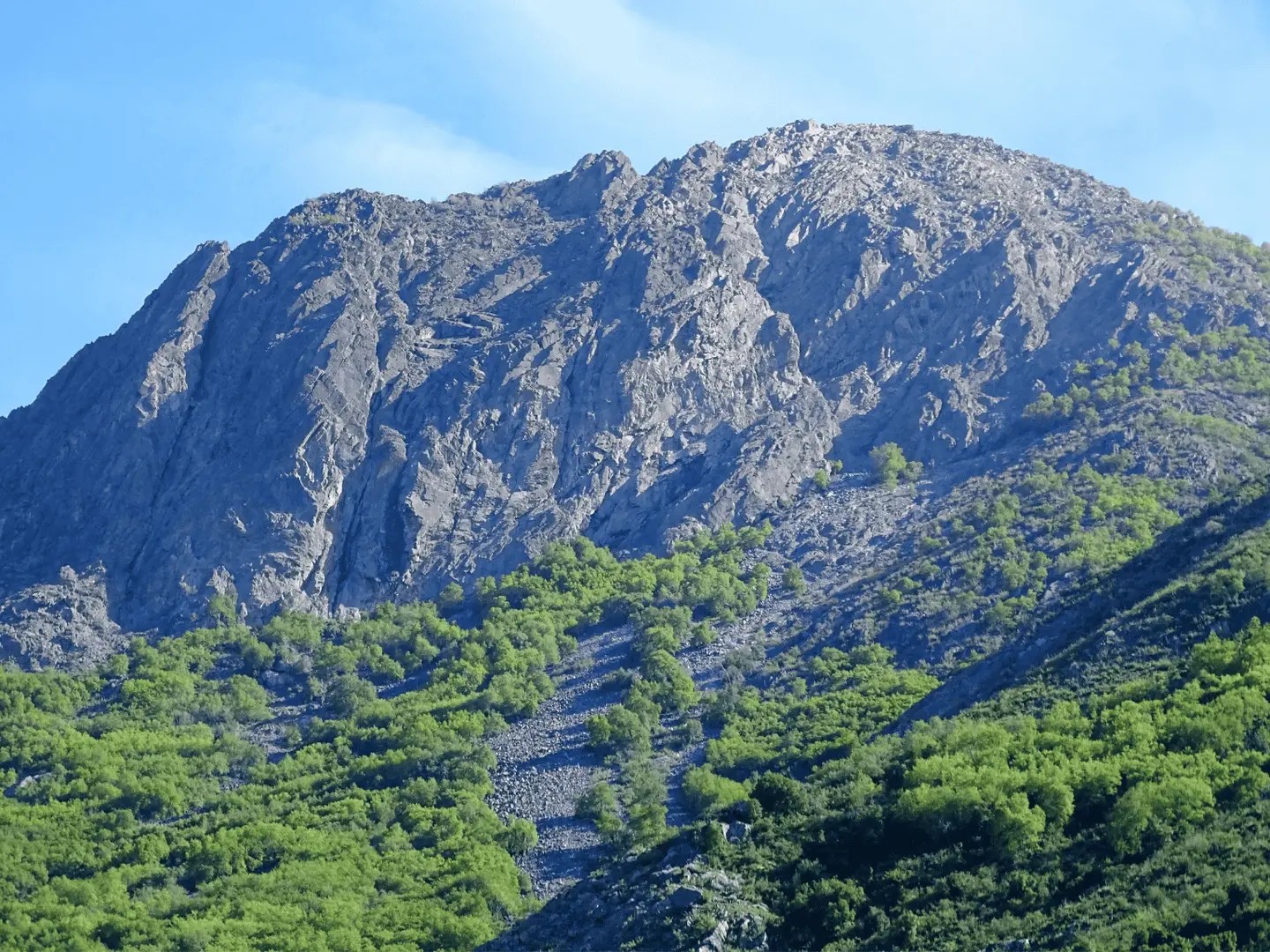 Ladera rocosa y cumbre del cerro La Campana sobre un pedregal, entre bosque nativo y cielo despejado