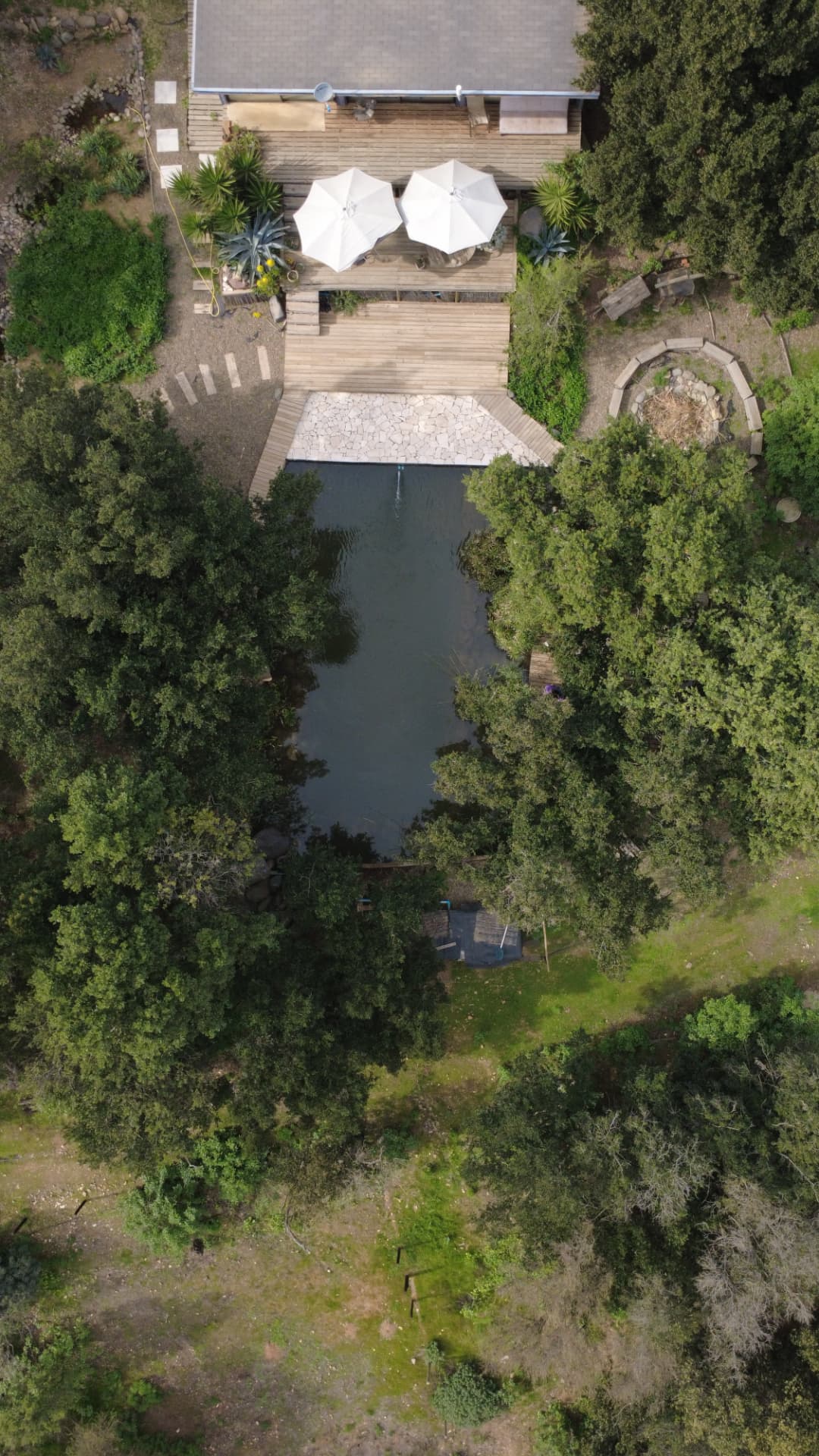 Vista aérea del bosque nativo que rodea los sitios de camping